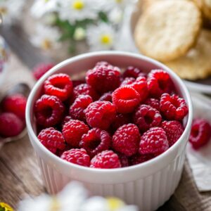 Raspberry Rhapsody